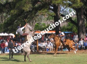 Fiesta del Caballo en Bragado 2019
